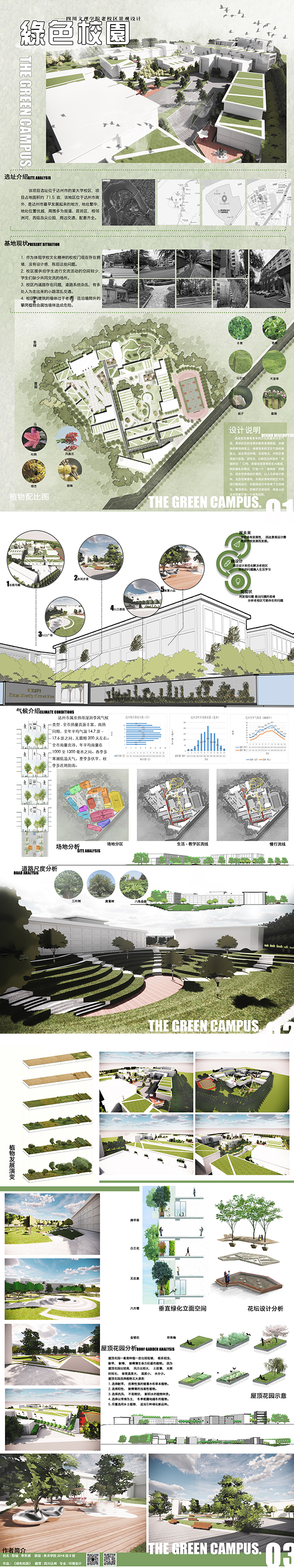 1590040594292874.jpg 9.jpg