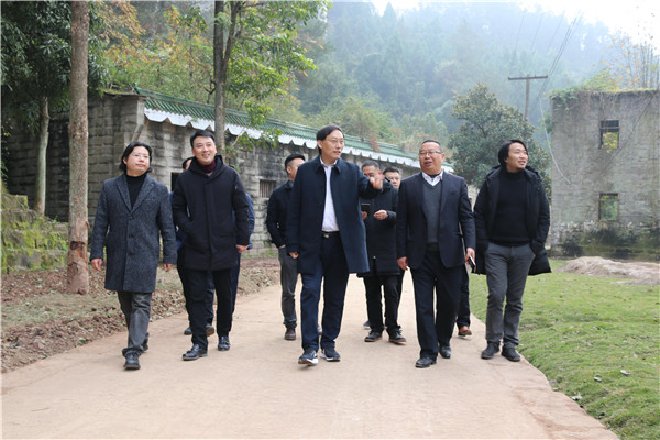 1511837912247174.jpg 16.jpg