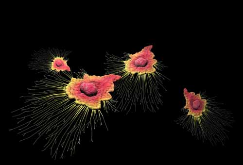 1590034283134852.jpg 蔡甜《癌》压缩效果图.jpg